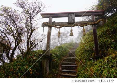 寶藏神社前的四國憲山本宮牌坊 寶藏神社前的四國憲山本宮牌坊 71004172