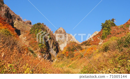 Amakazariyama Ara Sugawara Autumn Leaves 71005144