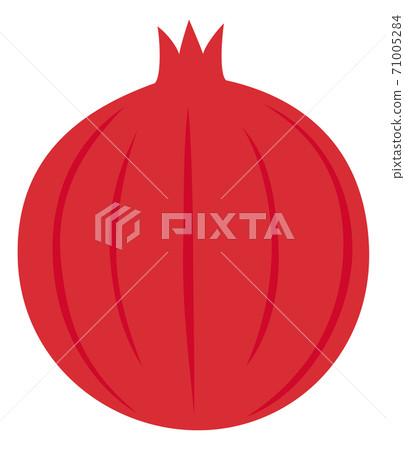 Fruit pomegranate pomegranate illustration fresh fruit Fruit pomegranate pomegranate illustration fresh fruit 71005284