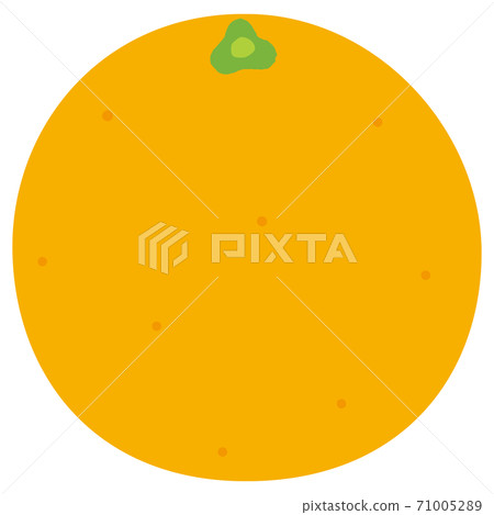 Orange illustration fresh fruit Orange illustration fresh fruit 71005289
