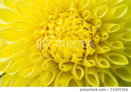 山形縣川西町大花iya 71005568