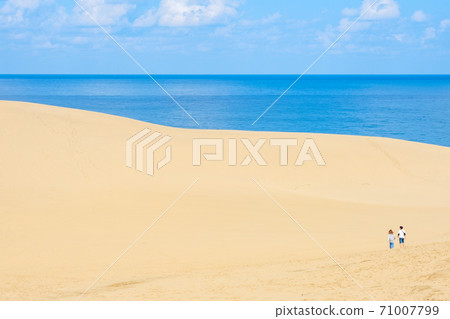 Tottori sand dunes 71007799