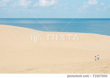 鳥取沙丘 71007800