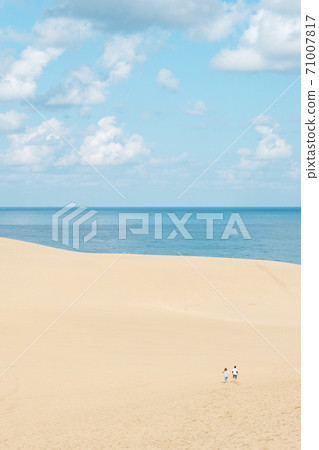 Tottori sand dunes Tottori sand dunes 71007817