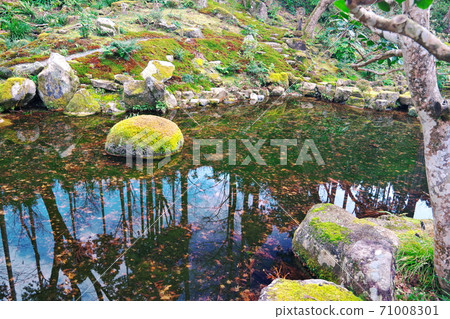 Garden pond seen in Kyoto Ohara 71008301