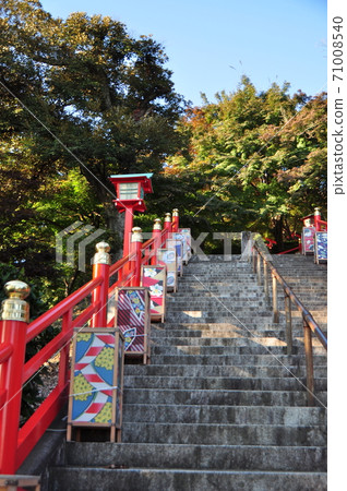 折姬Kai旦 71008540