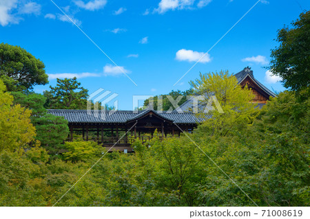 東福通通橋：秋葉的開始 71008619