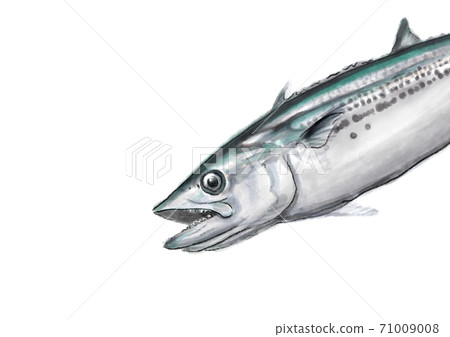 鰆D手繪(純色) 鰆D手繪(純色) 71009008