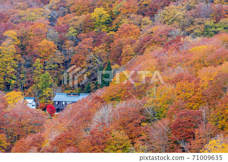 Scenery of Yunohama Pass in autumn Yunohama Onsen Kurihara City, Miyagi Prefecture Scenery of Yunohama Pass in autumn Yunohama Onsen Kurihara City, Miyagi Prefecture 71009635