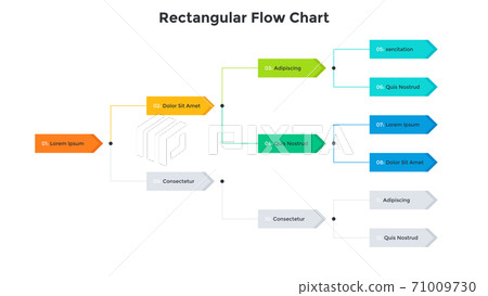 Modern Infographic Vector Template 71009730