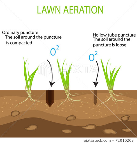 services. A green lawn with on the ground in the context of the advantages of the aeration tool with hollow pipes in comparison with the usual method. services. A green lawn with on the ground in the context of the advantages of the aeration tool with hollow pipes in comparison with the usual method. 71010202