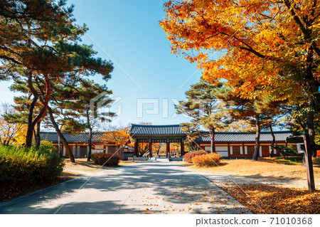 Autumn of Silleuksa Temple in Yeoju, Korea Autumn of Silleuksa Temple in Yeoju, Korea 71010368