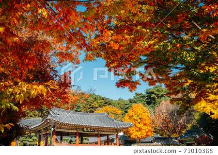 Silleuksa Temple with autumn maple in Yeoju, Korea Silleuksa Temple with autumn maple in Yeoju, Korea 71010388