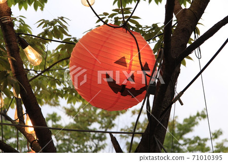 萬聖節2 萬聖節2 71010395