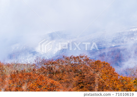 Yunohama Pass after the rain Autumn leaves and Mt. Kurikoma, Kurihara City, Miyagi Prefecture 71010619