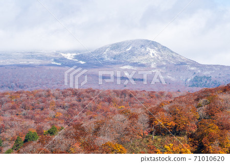 Yunohama Pass after the rain Autumn leaves and Mt. Kurikoma, Kurihara City, Miyagi Prefecture 71010620