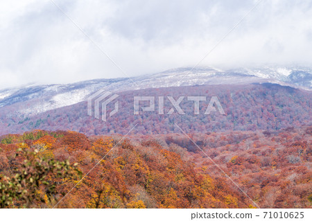 Yunohama Pass after the rain Autumn leaves and Mt. Kurikoma, Kurihara City, Miyagi Prefecture Yunohama Pass after the rain Autumn leaves and Mt. Kurikoma, Kurihara City, Miyagi Prefecture 71010625