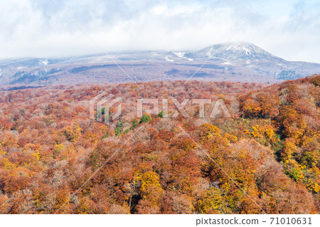 Yunohama Pass after the rain Autumn leaves and Mt. Kurikoma, Kurihara City, Miyagi Prefecture Yunohama Pass after the rain Autumn leaves and Mt. Kurikoma, Kurihara City, Miyagi Prefecture 71010631