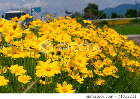 Okin Keike Okin Keike 71012211