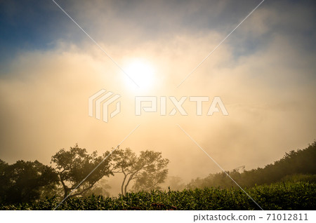 Sea of clouds, early morning, one side of the sea of clouds, the sun over the sea of clouds, the sea of clouds in the sky, Furano, Hokkaido, Biei, clear sky, blue sky, Sea of clouds, early morning, one side of the sea of clouds, the sun over the sea of clouds, the sea of clouds in the sky, Furano, Hokkaido, Biei, clear sky, blue sky, 71012811