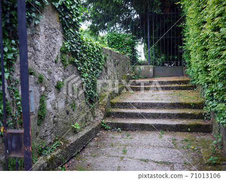 Stairs in an old Austrian park 71013106