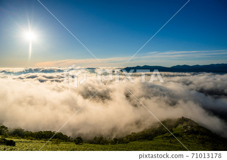 雲海，清晨，雲海的一側，雲海上空的太陽，天空中的雲海，富良野，北海道，美瑛，晴朗的天空，藍天， 71013178