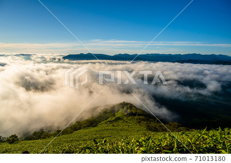 雲海，清晨，雲海的一側，雲海上空的太陽，天空中的雲海，富良野，北海道，美瑛，晴朗的天空，藍天， 71013180