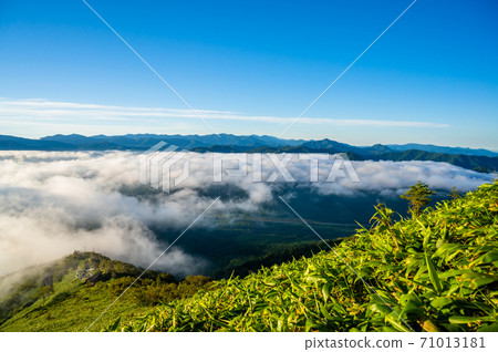 雲海，清晨，雲海的一側，雲海上空的太陽，天空中的雲海，富良野，北海道，美瑛，晴朗的天空，藍天， 71013181
