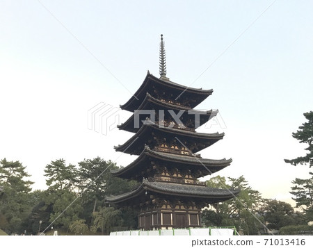 奈良五層寶塔的照片 71013416
