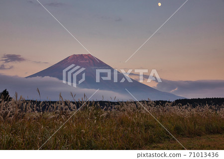 Mt. Fuji at sunset Mt. Fuji at sunset 71013436