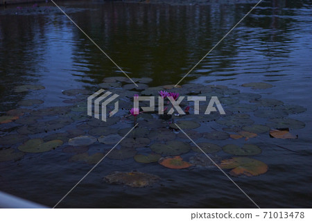 柬埔寨破壞了吳哥世界遺產 71013478