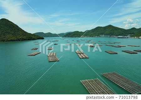 Nissei Bay and oyster raft Nissei Bay and oyster raft 71013798