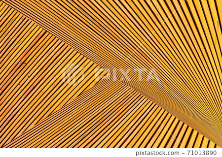 Abstract photo montage of yellow orange timber. Converging lines of planks. 71013890