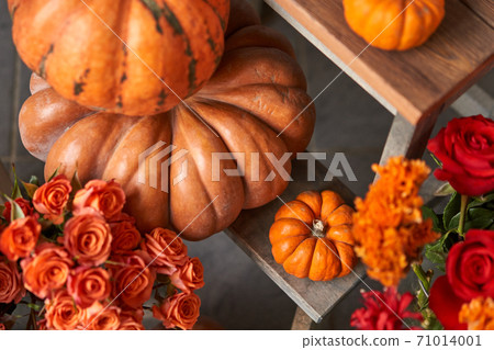 Set of pumpkins and orange and red flowers for Interior decorations. The work of the florist at a flower shop. Fresh cut flower. Autumn mood. Set of pumpkins and orange and red flowers for Interior decorations. The work of the florist at a flower shop. Fresh cut flower. Autumn mood. 71014001