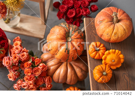 Set of pumpkins and orange and red flowers for Interior decorations. The work of the florist at a flower shop. Fresh cut flower. Autumn mood. Set of pumpkins and orange and red flowers for Interior decorations. The work of the florist at a flower shop. Fresh cut flower. Autumn mood. 71014042
