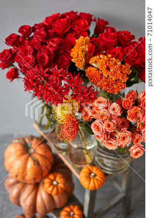Set of pumpkins and orange and red flowers for Interior decorations. The work of the florist at a flower shop. Fresh cut flower. Autumn mood. Set of pumpkins and orange and red flowers for Interior decorations. The work of the florist at a flower shop. Fresh cut flower. Autumn mood. 71014047