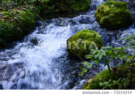 Hokkaido Kyogoku Fukidashi Park Hokkaido Kyogoku Fukidashi Park 71014254