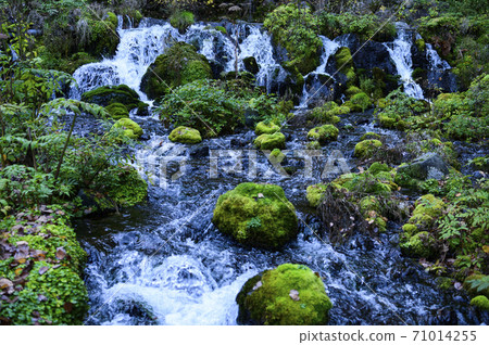 Hokkaido Kyogoku Fukidashi Park Hokkaido Kyogoku Fukidashi Park 71014255