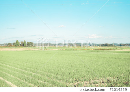 米領域傳播在藍天下 71014259