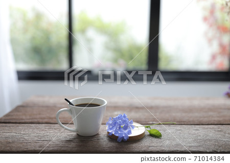 White coffee cup with blue plumbago flower on rustic wooden dinning table interior home 71014384