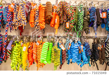 Colorful leading ropes Colorful leading ropes 71015049
