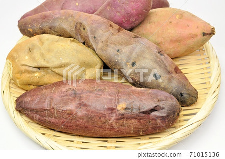 Comparison of eating baked sweet potatoes 71015136