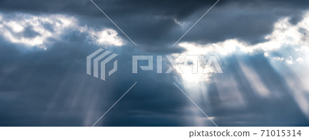 Angel steps 71015314