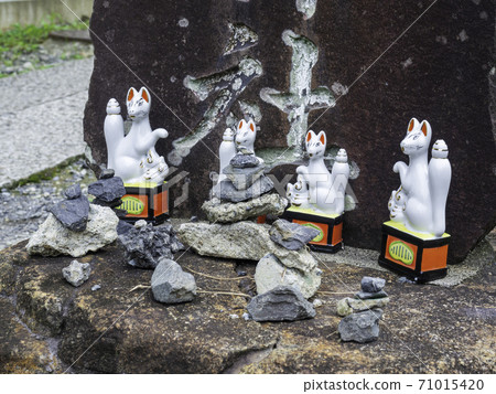 Kamakura / Sasuke Inari Shrine fox at the entrance to the approach 71015420