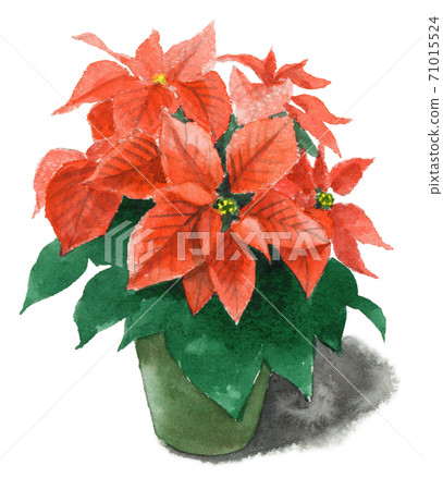 potted poinsettia clip art