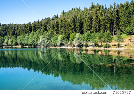 Beautiful view of a lake and forest under clear blue sky. Nature and Travel Tourism concept. 71015797