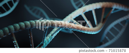 Blue particles of dna strucrure glowing over dark background. Genetic and medicine concept. 3d rendering Blue particles of dna strucrure glowing over dark background. Genetic and medicine concept. 3d rendering 71015878