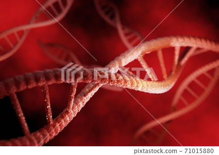 Red particles of dna strucrure glowing over dark red background. Genetic and medicine concept. 3d rendering 71015880