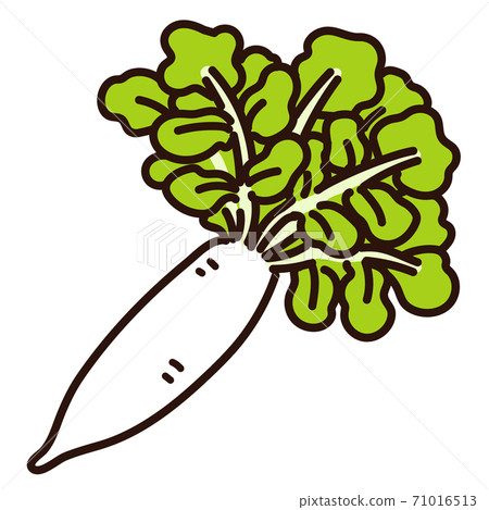 簡單和可愛的白蘿蔔圖和主線 71016513
