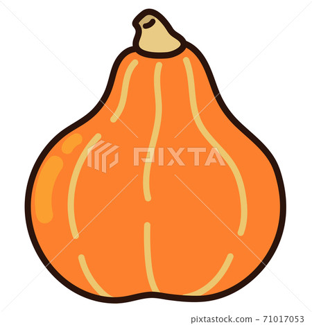 紅皮膚的栗子南瓜與主線的簡單和可愛的插圖 71017053